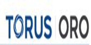 Torus Oro PMS Logo