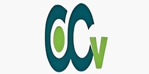 CCV Investment AIF Logo
